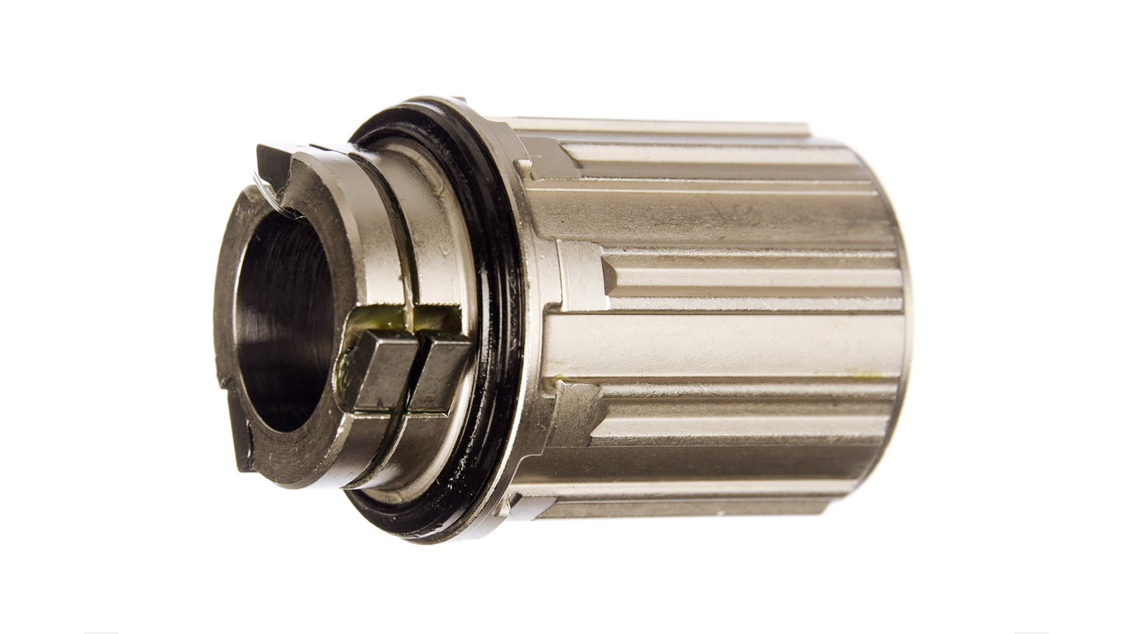 CORPETTO RL TORSION