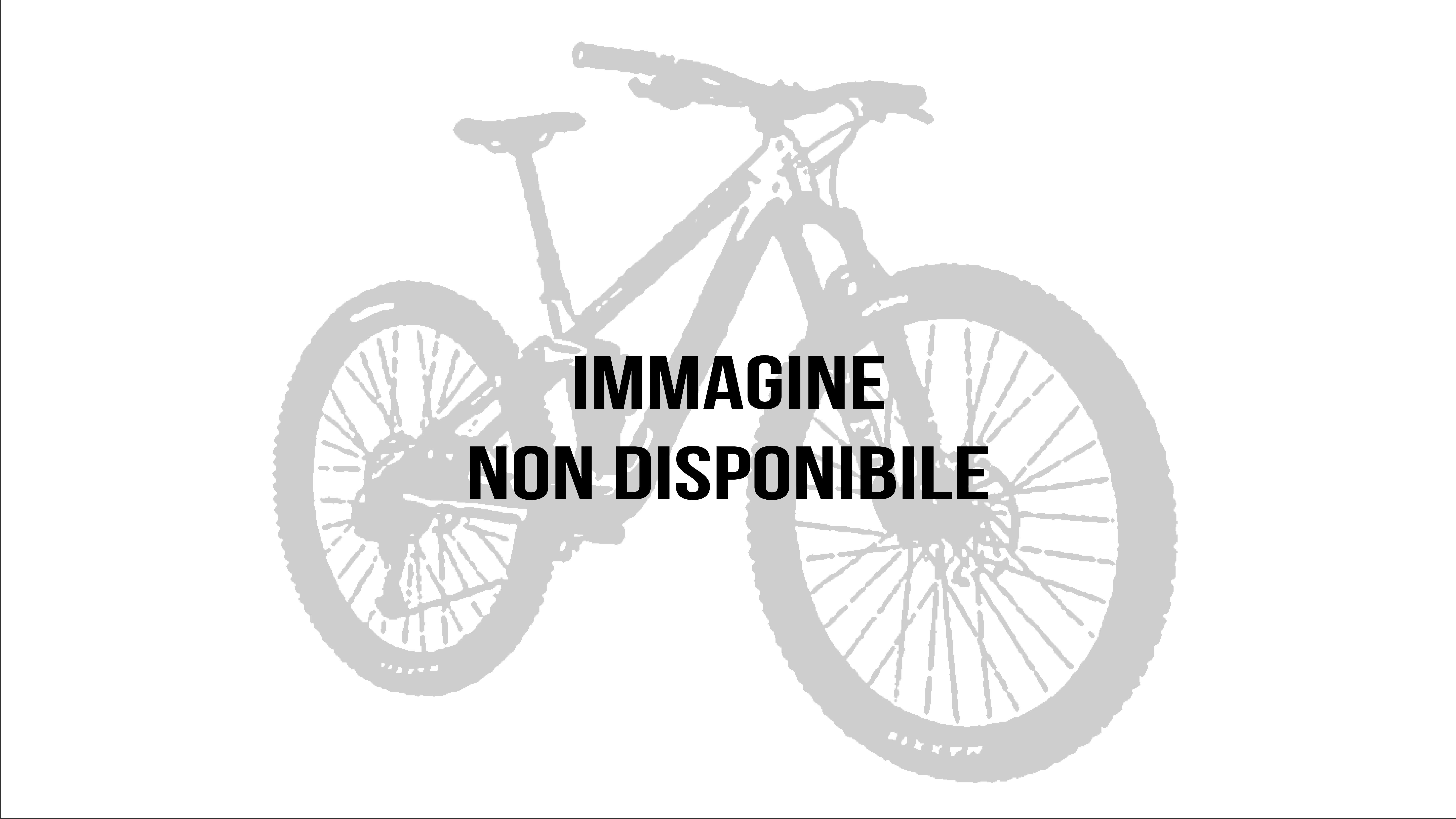 TR11 Alloy 25 Team Edition