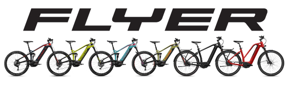 linea flyer
